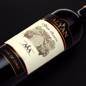 Transporte turístico a Vinicola Alyan – Experiencia enológica exclusiva desde Santiago