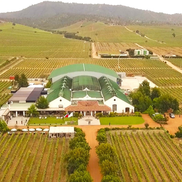 Enólogo por um dia - Casas del Bosque Enólogo por um dia - Casas del Bosque