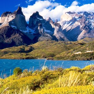 torres del paine: full day experience