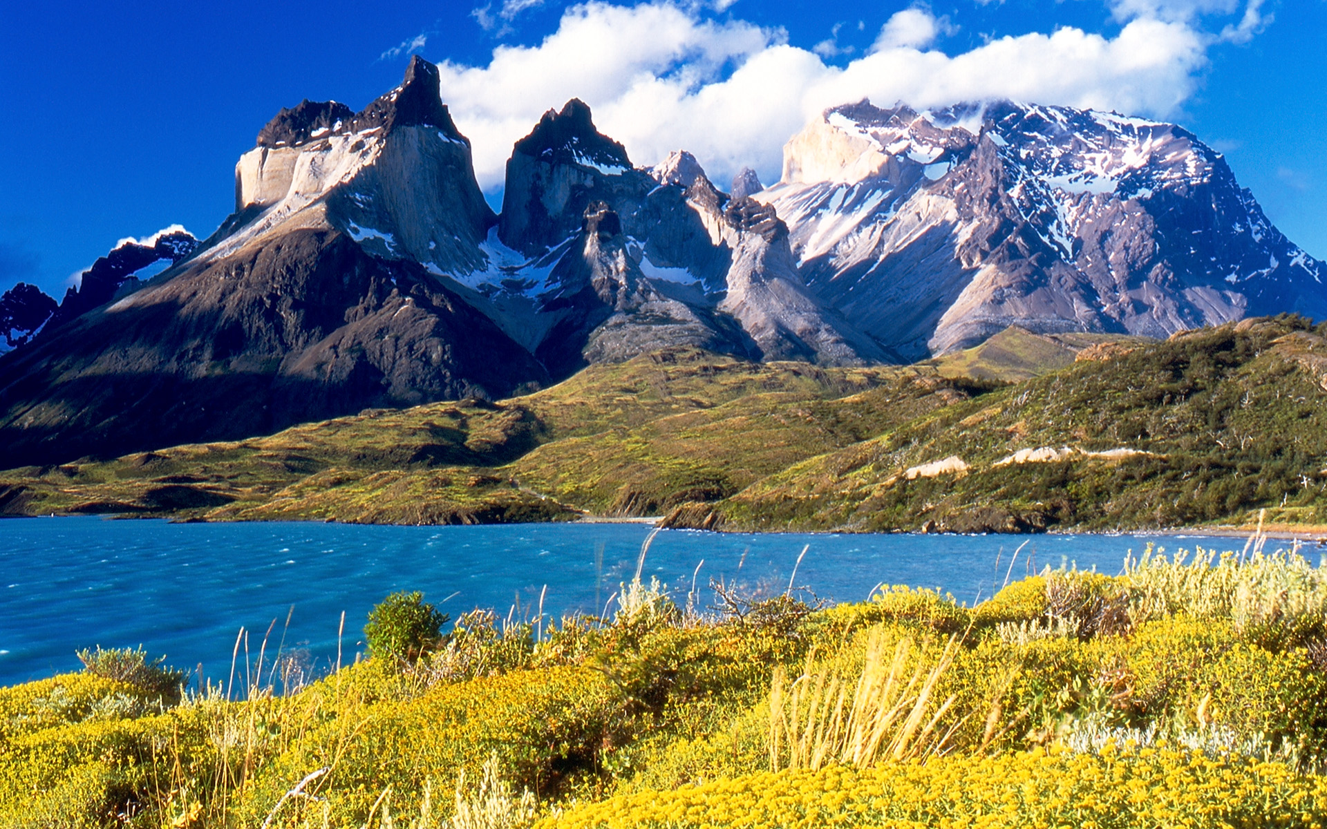torres del paine: full day experience torres del paine: full day experience