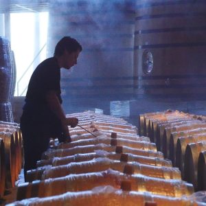 came, barrel, cask, winery, wine production, colchagua valley, vineyard, cask, wine production, wine production, wine production, wine production, wine production